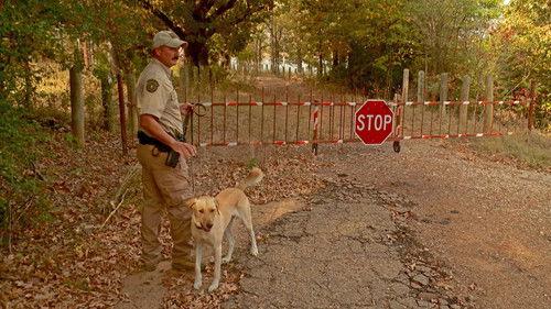 Lone Star Law Season 2 Episode 10 - Armed and Dangerous
