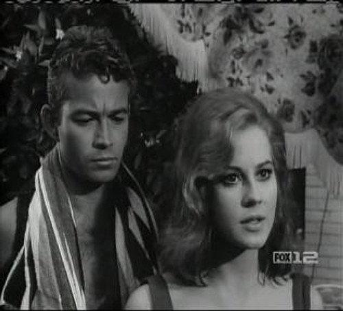 Perry Mason Season 7 Episode 9 - The Case of the Festive Felon
