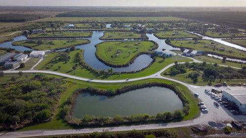 Chimp Crazy Season 1 Episode 4 - Fantasy Island