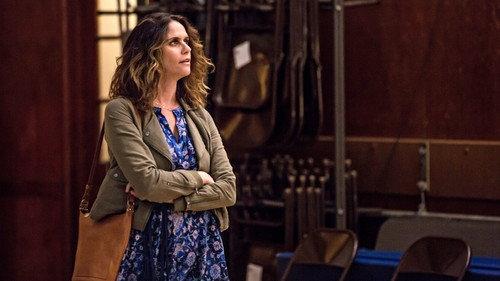 Transparent Season 3 Episode 4 - Just the Facts