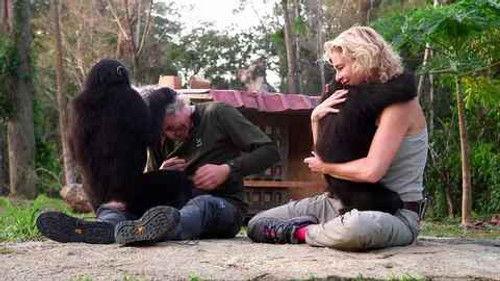 Planeta Calleja Season 5 Episode 6 - Episode 6