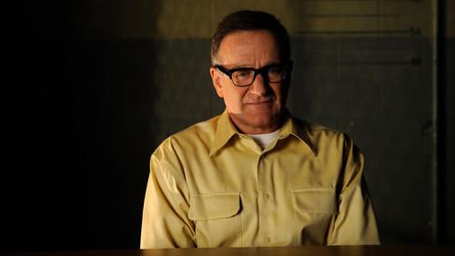 undefined Season 9 Episode 17 - Authority