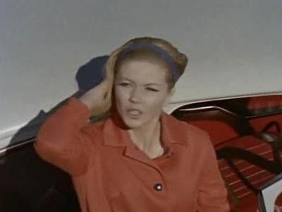 Skippy the Bush Kangaroo Season 1 Episode 5 - Cage of Koalas