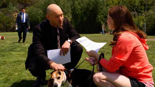 Law & Order: LA Season 1 Episode 14 - Runyon Canyon