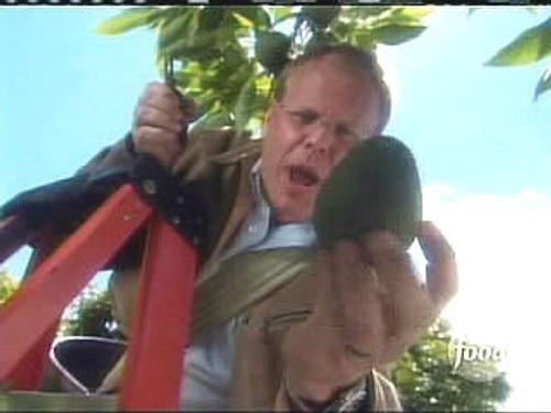 Good Eats Season 9 Episode 11 - Curious Yet Tasty Avocado Experiment