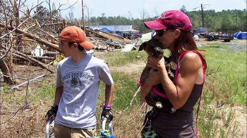 Pit Bulls and Parolees Season 3 Episode 10 - Path of Destruction