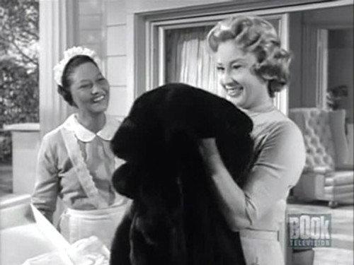 undefined Season 6 Episode 1 - Mrs. Bixby and the Colonel's Coat