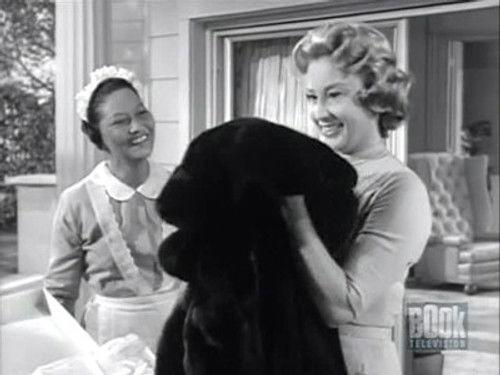 undefined Season 6 Episode 1 - Mrs. Bixby and the Colonel's Coat