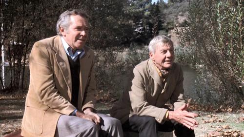 Background image for The Covenant