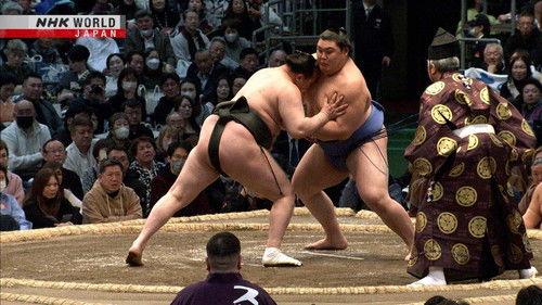 GRAND SUMO Highlights Season 28 Episode 7 - Day 7
