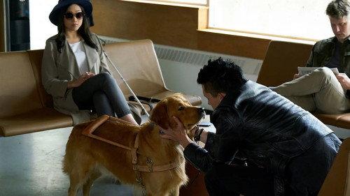 Crawford Season 1 Episode 8 - The Quiet One