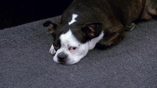 Project Runway All Stars Season 2 Episode 12 - Finale: Go Big or Go Home