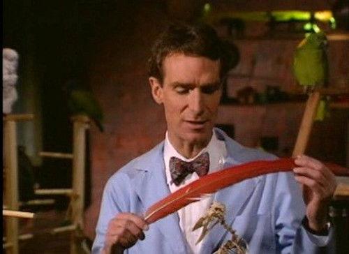 Bill Nye the Science Guy Season 3 Episode 18 - Birds