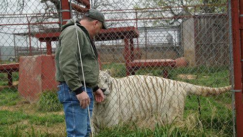 Animal ER Season 2 Episode 1 - Fire Drill