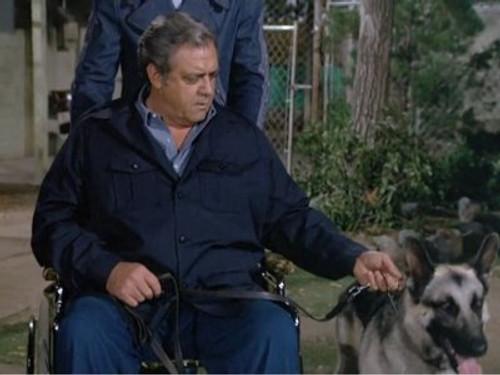 Ironside Season 6 Episode 2 - The Savage Sentry