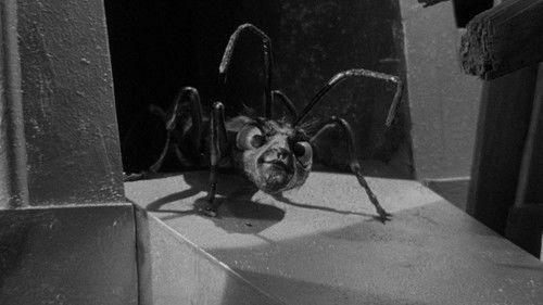 undefined Season 1 Episode 14 - The Zanti Misfits