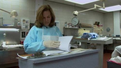 Dr. G: Medical Examiner Season 7 Episode 6 - Fatal Encounters