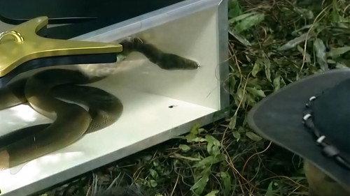 I'm a Celebrity...Get Me Out of Here! Season 1 Episode 8 - Hell Holes