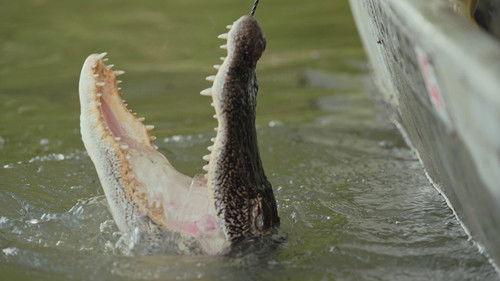 Swamp People Season 16 Episode 2 - Snapping Back