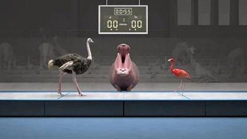 Athleticus Season 1 Episode 18 - Episode 18