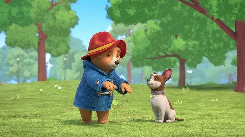The Adventures of Paddington Season 1 Episode 21 - Paddington Meets Lucky
