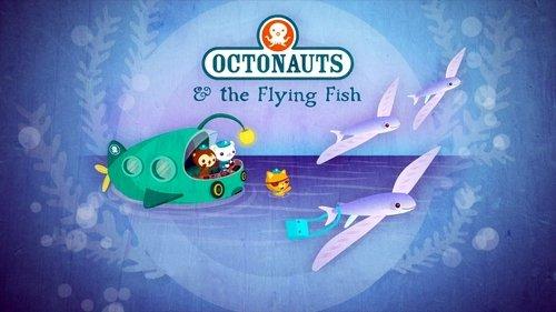 Octonauts Season 1 Episode 5 - The Flying Fish