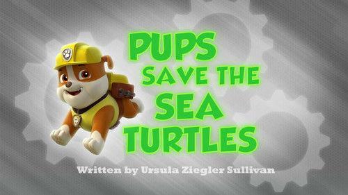 undefined Season 1 Episode 5 - Pups Save the Sea Turtles