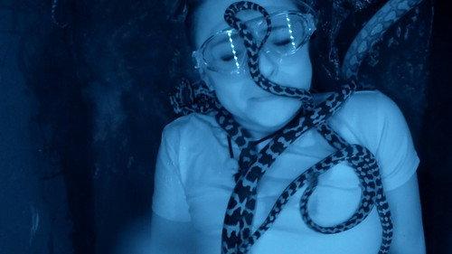 I'm a Celebrity...Get Me Out of Here! Season 18 Episode 2 - The Viper Pit