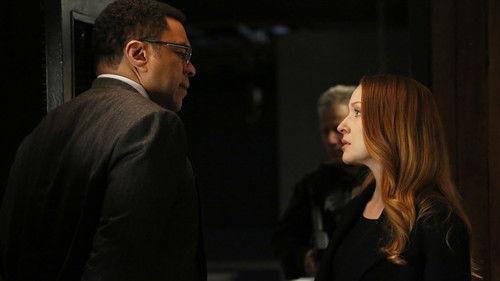 The Blacklist Season 6 Episode 21 - Anna McMahon