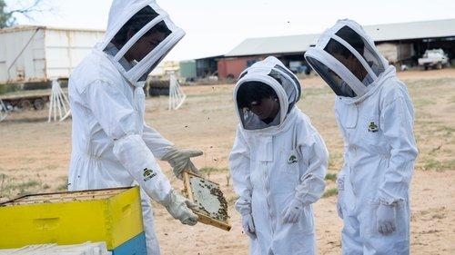 Invisible Boys Season 1 Episode 9 - Bees