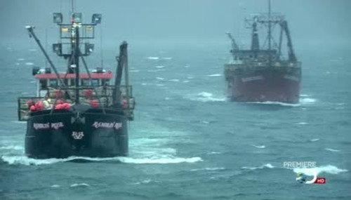 Deadliest Catch Season 8 Episode 1 - The Gamble