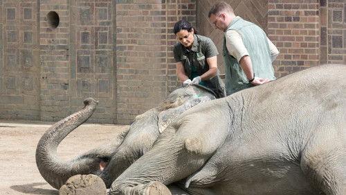 Tierärztin Dr. Mertens Season 5 Episode 13 - Episode 13