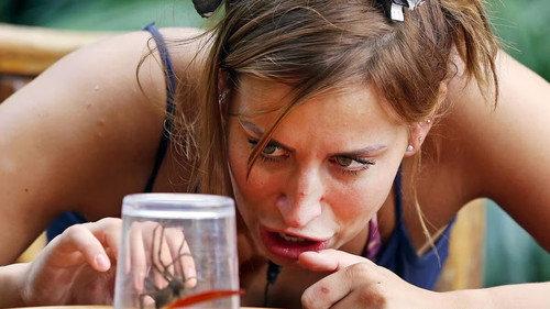 I'm a Celebrity...Get Me Out of Here! Season 15 Episode 21 - Final: Surf and Turf / Bushtucker Bonanza / Critter Attack