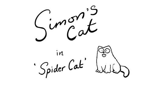 Simon's Cat Season 10 Episode 8 - Spider Cat (Halloween Special)