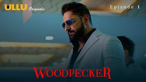 Woodpecker Season 1 Episode 1 - Episode 1