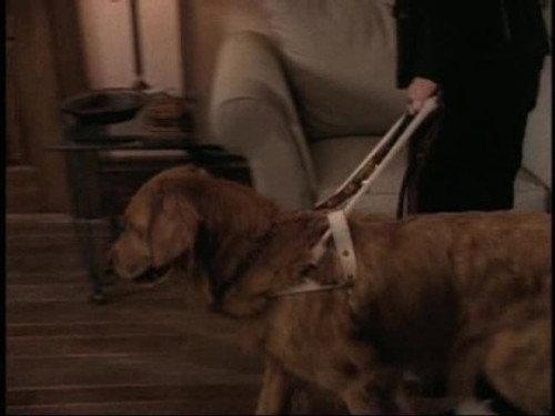Forever Knight Season 3 Episode 5 - Blind Faith