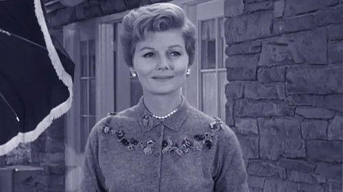 Leave It to Beaver Season 3 Episode 12 - Beaver, the Magician