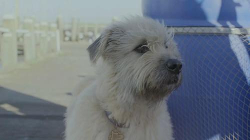 Kosmoo Season 1 Episode 10 - Episode 10