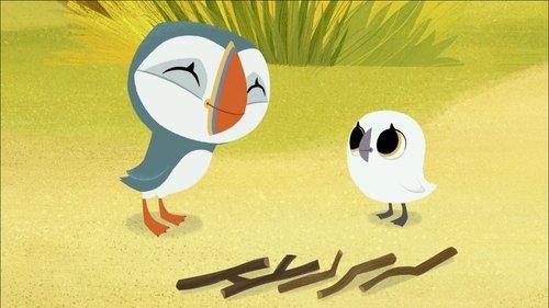 Background image for Puffin Practice