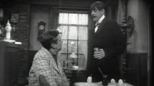 Swiebertje Season 3 Episode 7 - Swiebertje zoekt het uit