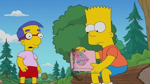 The Simpsons Season 32 Episode 12 - Diary Queen