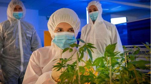 Hamburg Dockland Season 16 Episode 16 - Episode 16