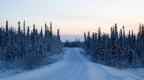 Life Below Zero: Northern Territories Season 1 Episode 8 - Snowbound