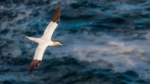 Springwatch Season 21 Episode 7 - Episode 7