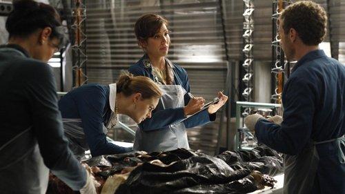 Bones Season 5 Episode 2 - The Bond in the Boot