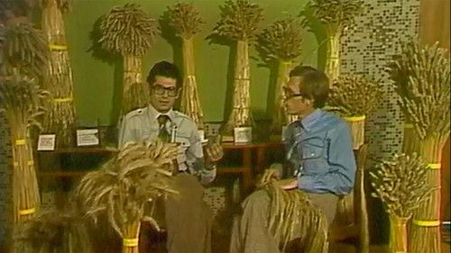 Sonda Season 1 Episode 82 - Episode 82