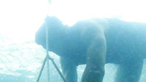 Mästarnas mästare Season 17 Episode 9 - Episode 9