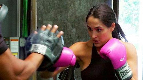 Total Bellas Season 4 Episode 8 - Road to Evolution