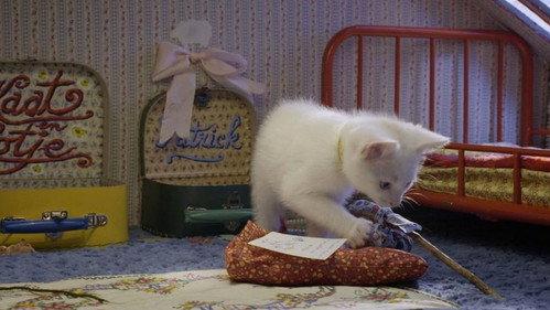 Poesjes Season 1 Episode 6 - Episode 6