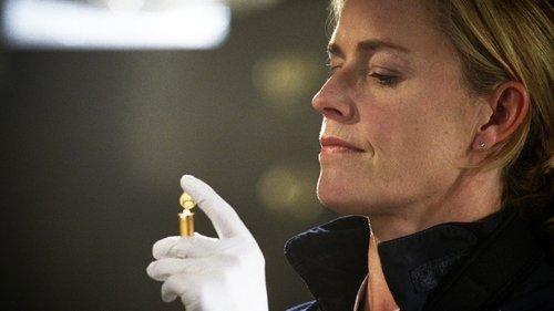 undefined Season 12 Episode 15 - Stealing Home